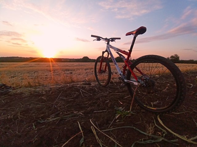 Tomac '98 Special '02 #191