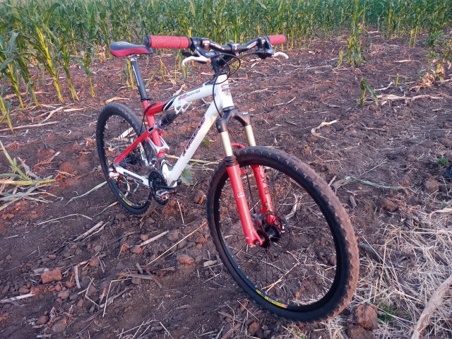 Tomac '98 Special '02 #233