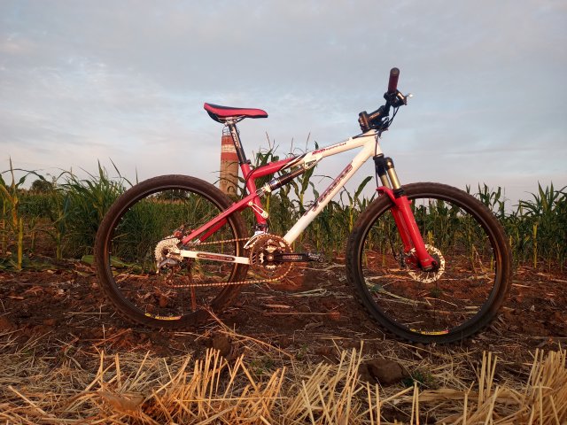 Tomac '98 Special '02 #243