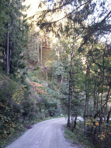 Zell am See 2019 #591