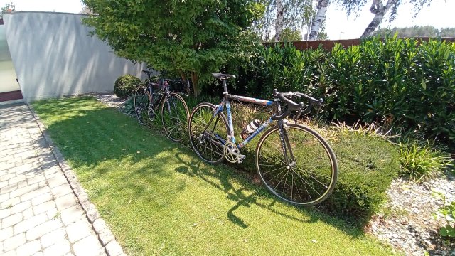 Colnago C40 '01 #248