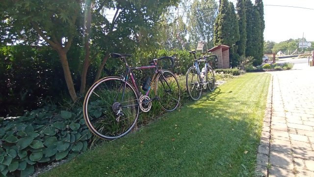 Colnago C40 '01 #249