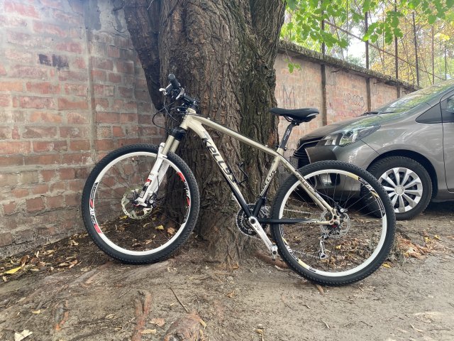 Kelly's Majestic projekt #5