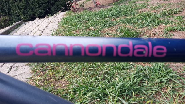 Cannondale SM 2000 1990 #67