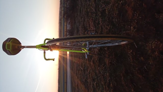 Trek 2300 Composite '91 #194