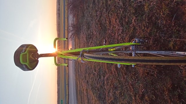 Trek 2300 Composite '91 #199