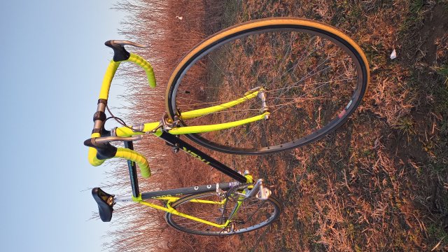 Trek 2300 Composite '91 #208