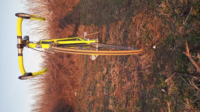 Trek 2300 Composite '91 #210