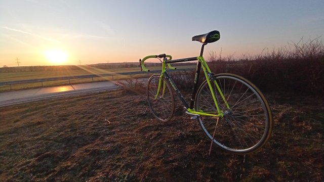 Trek 2300 Composite '91 #218