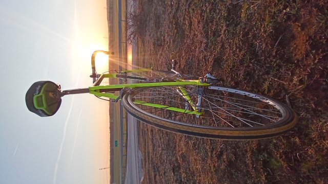 Trek 2300 Composite '91 #220