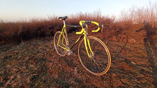 Trek 2300 Composite '91 #242