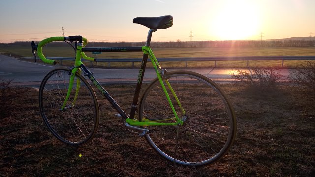 Trek 2300 Composite '91 #250