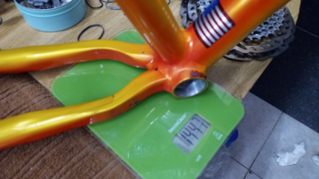 Klein Attitude Race '98 #145