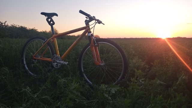 Klein Attitude Race '98 #242