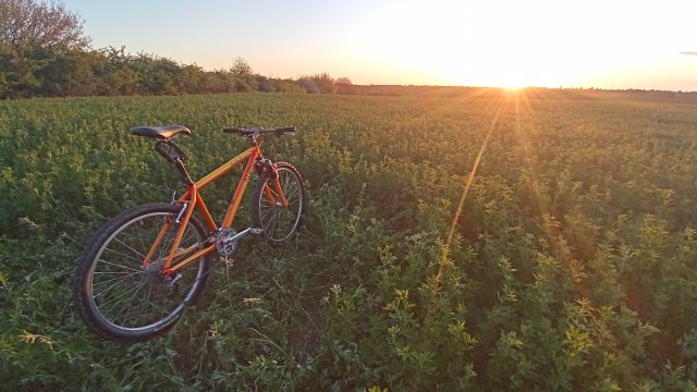 Klein Attitude Race '98 #330