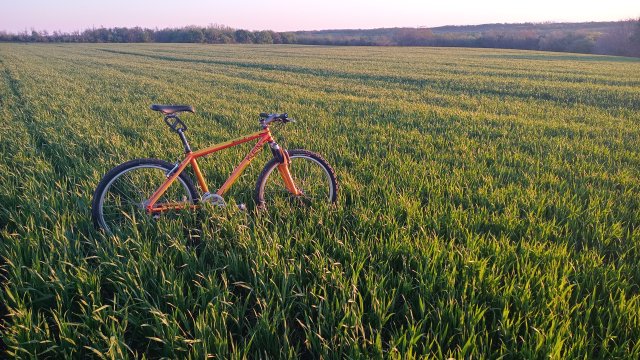 Klein Attitude Race '98 #341