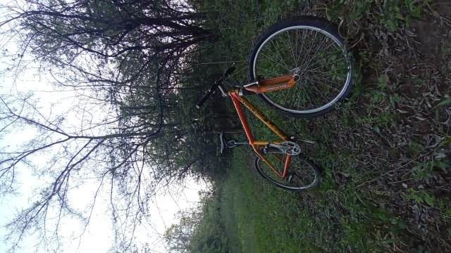 Klein Attitude Race '98 #374