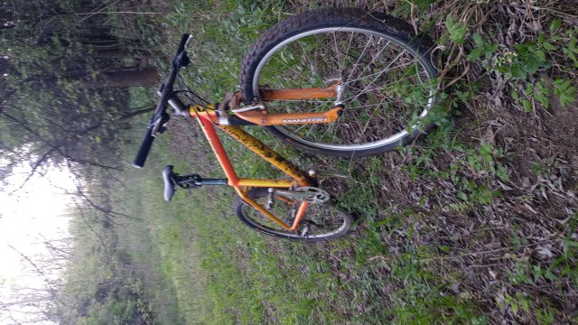 Klein Attitude Race '98 #378