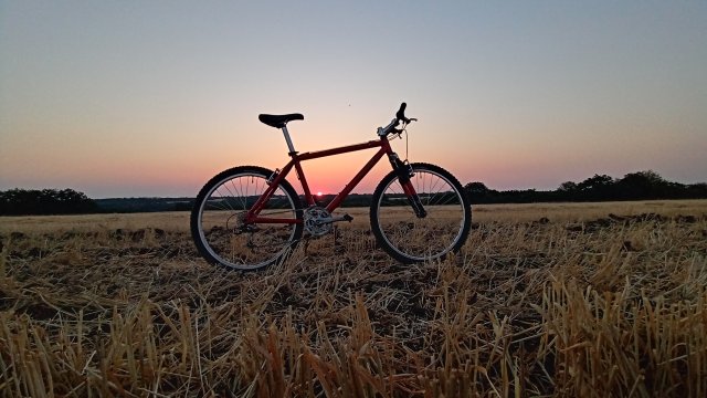 Klein Pulse '98 #117