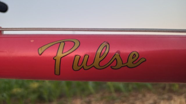 Klein Pulse '98 #135