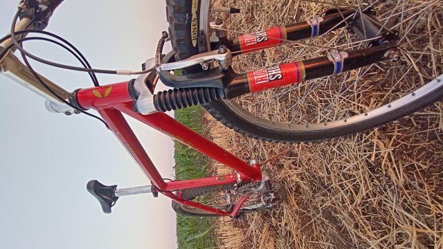 Klein Pulse '98 #181