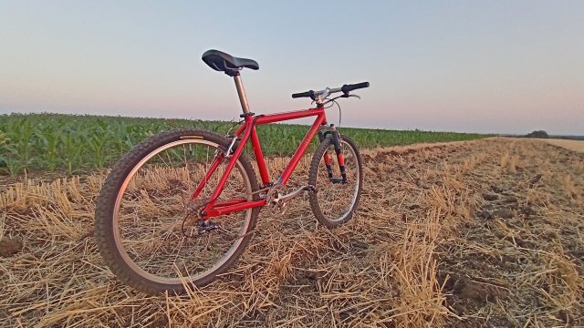 Klein Pulse '98 #188