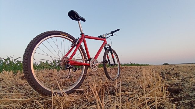 Klein Pulse '98 #189