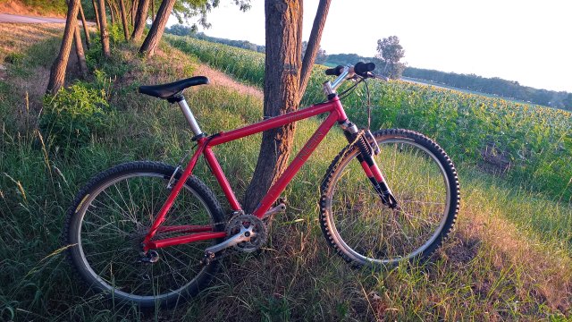 Klein Pulse '98 #200