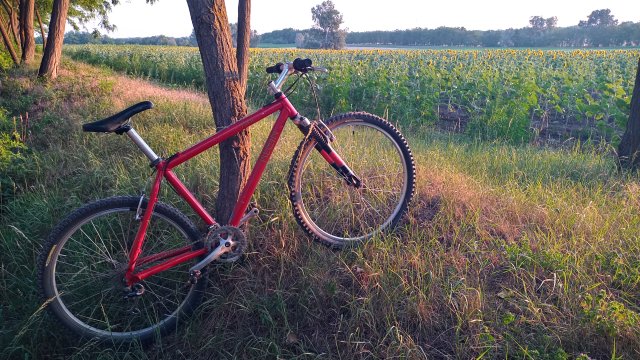 Klein Pulse '98 #201