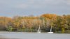 Az őszi Tisza tó* #11
