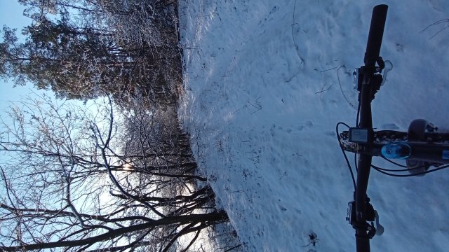 Trek Farley 6 '15 #533