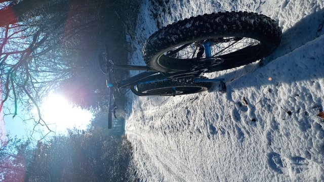 Trek Farley 6 '15 #541