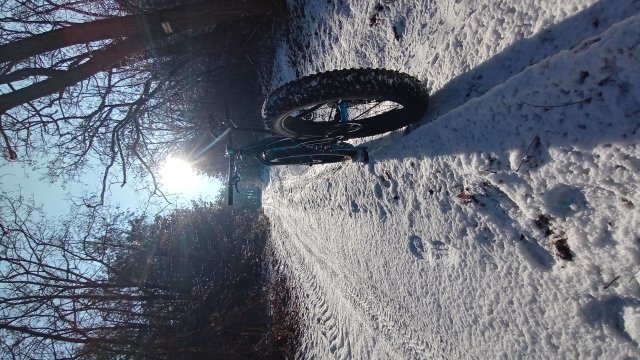 Trek Farley 6 '15 #542