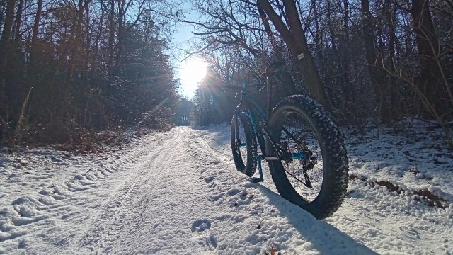 Trek Farley 6 '15 #543