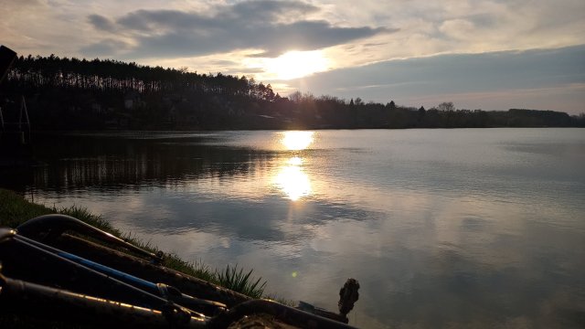 Trek Farley 6 '15 #554