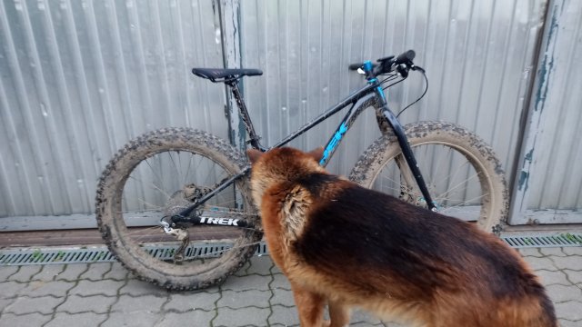 Trek Farley 6 '15 #555