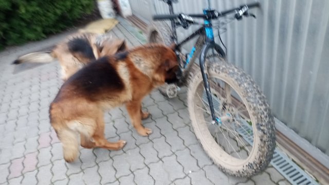 Trek Farley 6 '15 #556