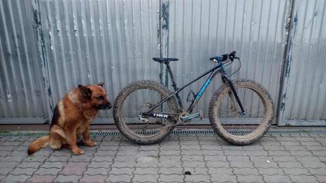 Trek Farley 6 '15 #560