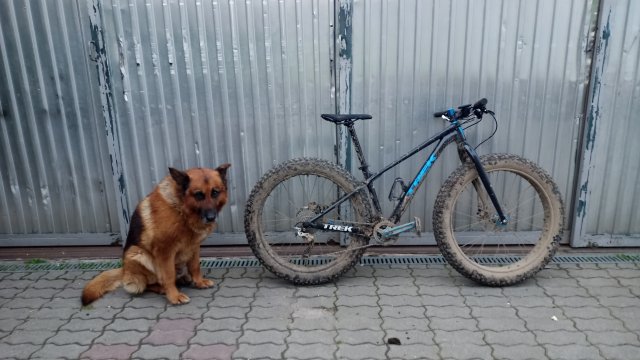 Trek Farley 6 '15 #561