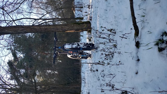 Trek Farley 6 '15 #566