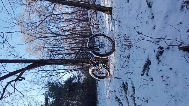 Trek Farley 6 '15 #569
