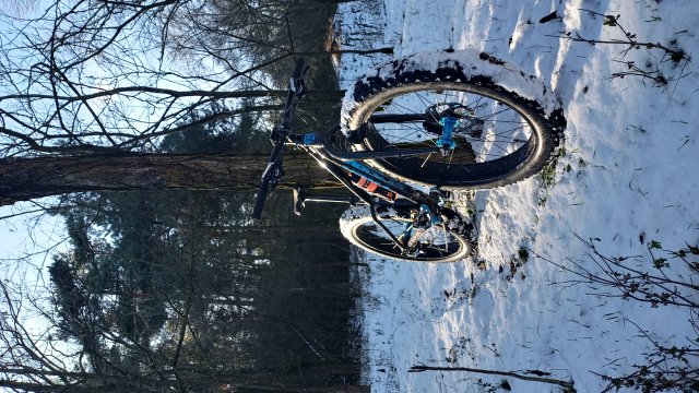 Trek Farley 6 '15 #571