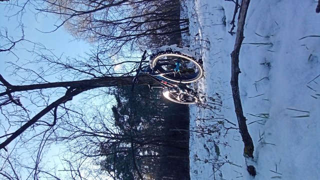 Trek Farley 6 '15 #573