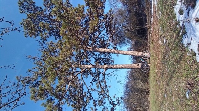 Trek Farley 6 '15 #578