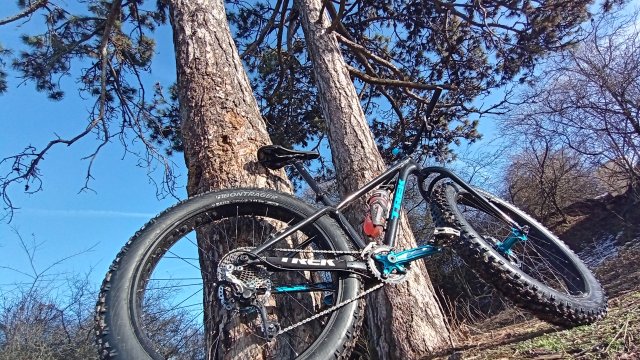 Trek Farley 6 '15 #581