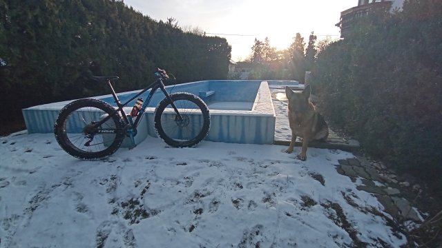Trek Farley 6 '15 #584