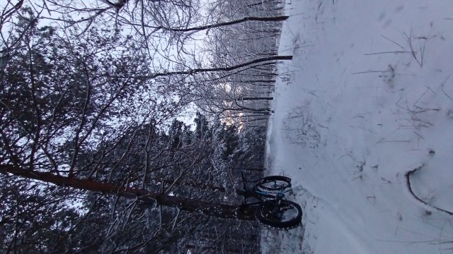 Trek Farley 6 '15 #588