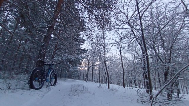 Trek Farley 6 '15 #589