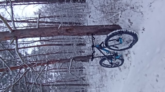 Trek Farley 6 '15 #592