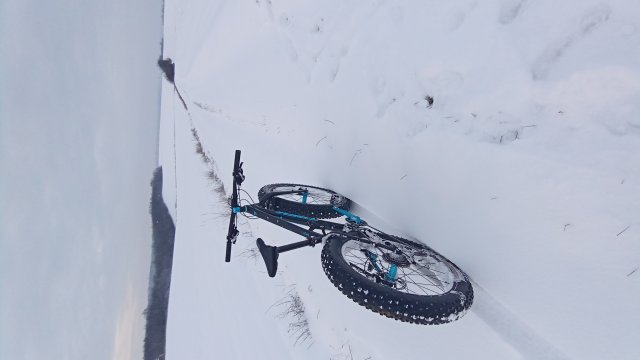Trek Farley 6 '15 #603
